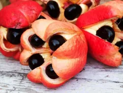 Akee su fruto se conoce como ?seso vegetal?